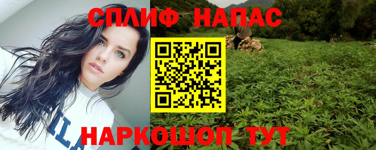 Каннабис планчик  Вход с VPN  Шишки марихуана White Widow  Шишки марихуана семена  Конопля сатива  Кировск 
